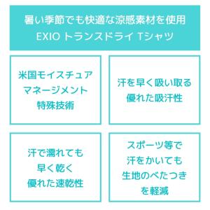 【在庫処分大特価】EXIO エクシオ トランス...の詳細画像1