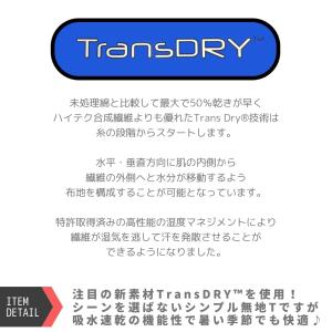 【在庫処分大特価】EXIO エクシオ トランス...の詳細画像2