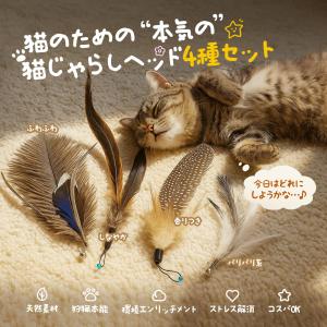 Lunarcat 猫 おもちゃ 羽根 猫じゃら...の詳細画像1