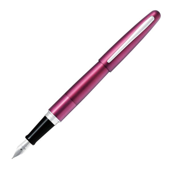 PILOT 万年筆 コクーン 細字 ボルドー FCO3SRBOF パイロット