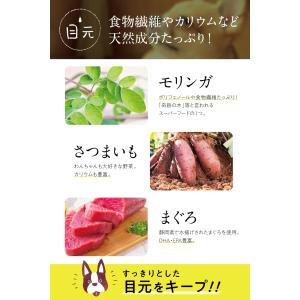 コノコトトモニ このこのごはん ドッグフード ...の詳細画像2