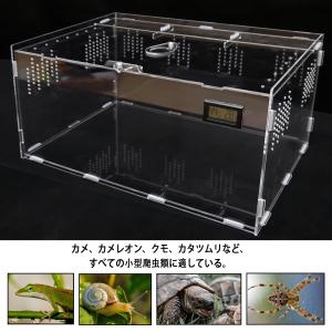 Niesporek 爬虫類 ケージ トカゲ ケ...の詳細画像2