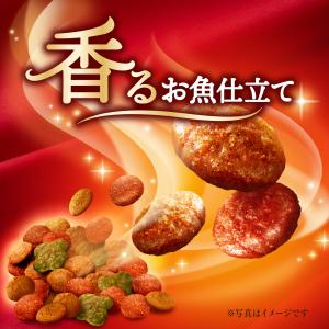 銀のスプーン キャットフード ドライ 三ツ星グ...の詳細画像1