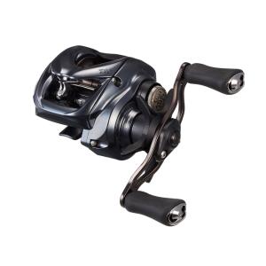 25TATULA SV TW 100H リール DAIWA（釣り） 【目玉商品】ダイワ 25 タトゥーラ SV TW 100HL
