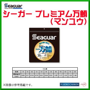 トオヤ 遠矢ウキ 超遠投-小 0.8号 ウキ : 釣具・フーガショップ1
