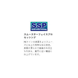 サンライン ソルティメイト アメイザー×8 3...の詳細画像2