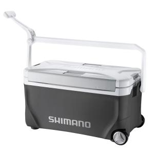 DAIWA（ダイワ） クーラーボックス タフトランク GU4300 グレー : 釣具