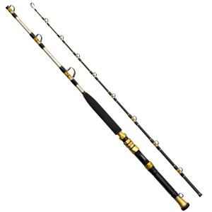DAIWA（ダイワ） 船竿 21 ディープゾーン GS 500-205・R / daiwa