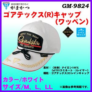 がまかつ/Gamakatsu ハーフメッシュキャップ(ワッペン) GM-9854 
