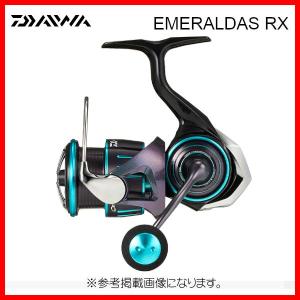 DAIWA（ダイワ） 19 エメラルダス LT3000S-CH-DH ダブルハンドル