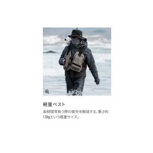 (取寄せ 10月末頃) ( 限定特価 ) シマ...の詳細画像4