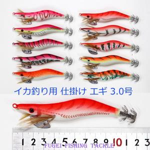 釣具 仕掛け 釣り エギ 餌木 夜光 3.0号 ピンク・オレンジ・赤系 10個 セット イカ釣り エギング H20egi30hPKORRE10｜fugeiturigu