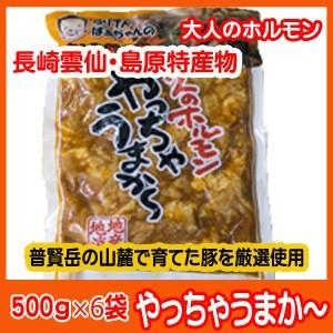 ふげんばぁちゃんのピリ辛手作り大人のホルモンやっちゃうまか〜500ｇ×６袋 (20171115S-01)