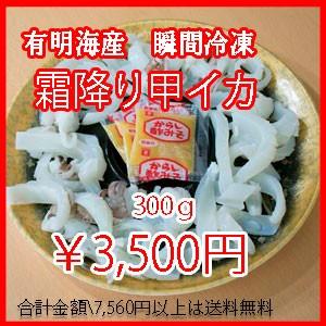 瞬間冷凍有明海産甲いかの霜降り湯引き