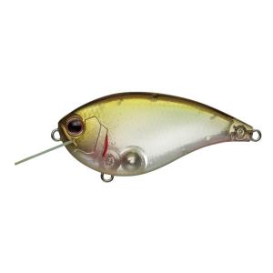 EverGreen（エバーグリーン） フラットフォース Flat Force : 池袋