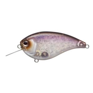 EverGreen（エバーグリーン） フラットフォース Flat Force : 池袋