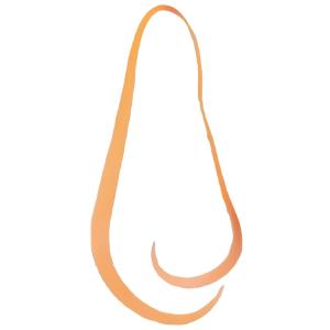 がまかつ 桜幻 シリコンネクタイ マルチミディアムカーリー #5 オレンジ