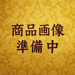 エバーグリーン メタルマスター 28g #376 フラッシングワカサギ