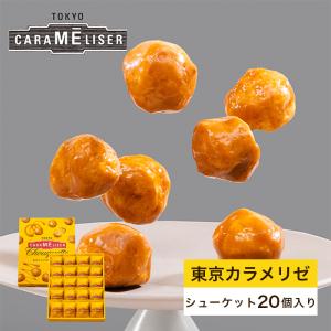 上野風月堂 東京みやげ 焼き菓子 / 東京カラメリゼ シューケット 12個