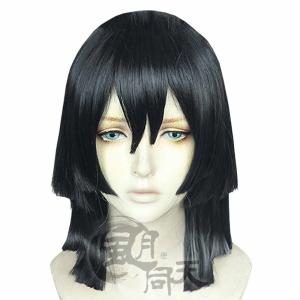 ハンター×ハンター ヒソカ コスプレ ウィッグ かつら WIG 耐熱 大人