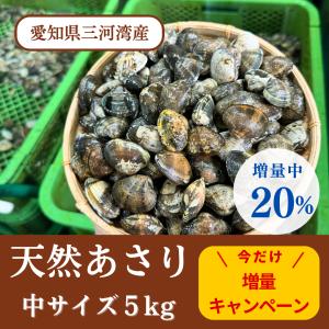 あさり アサリ（中）５kg 天然 砂抜き 送料無料（愛知...