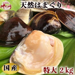 ハマグリ 国産 はまぐり 蛤 天然活はまぐり (特大サイズ) ２kg（１６個前後）(愛知県産)