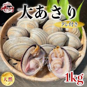 大アサリ あさり 三河 アサリ 活大あさり (タレ付き) １kg ひと口では食べられない大あさり (愛知県産)