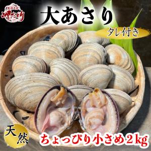 大アサリ 活大あさり (タレ付き) ２ｋｇ ちょっと小さめな大あさり