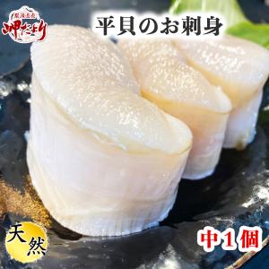 【期間限定・特別販売】平貝 (タイラギ) 天然平貝 ヒモ付き 中１個 (愛知県産)