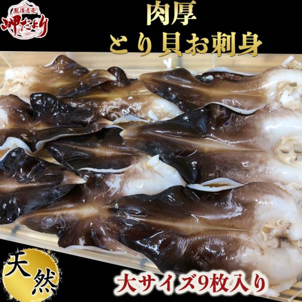 とり貝 お刺身（冷凍）大サイズ９枚入り 愛知県産 鳥貝
