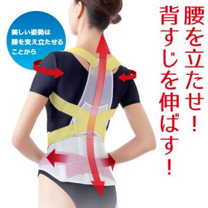 お医者さんの腰から正す姿勢ベルト 背筋 背中 ...の詳細画像1