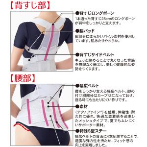 お医者さんの腰から正す姿勢ベルト 背筋 背中 ...の詳細画像2