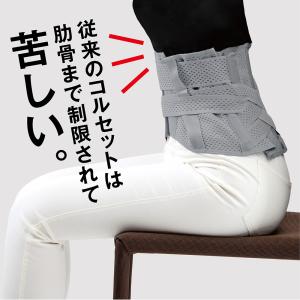 お医者さんの腰サポーター ピタ肌 M~L L~...の詳細画像1