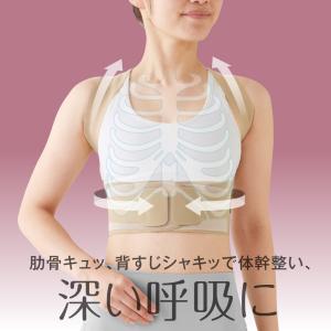 お医者さんの体幹姿勢サポーター ピタ肌 姿勢矯...の詳細画像3