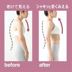 お医者さんの体幹姿勢サポーター ピタ肌 姿勢矯...の詳細画像5