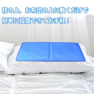 氷枕 30cm×55cm 1枚・2枚から選べる...の詳細画像2