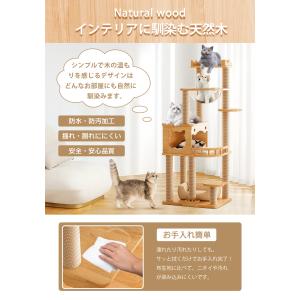 キャットタワー 木製 大型猫用 全支柱麻紐巻き...の詳細画像1
