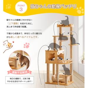 キャットタワー 木製 大型猫用 全支柱麻紐巻き...の詳細画像4