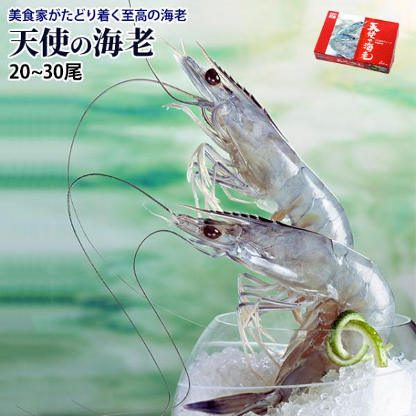 プレゼント 冷凍 天使の海老 1kg 約20尾から30尾入 生食 刺身 お歳暮 ご贈答 贈り物 ギフ...