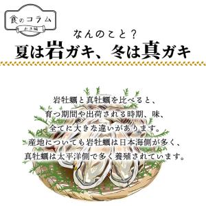 冷凍 広島産 剥きカキ Lサイズ 1kg(正味...の詳細画像4