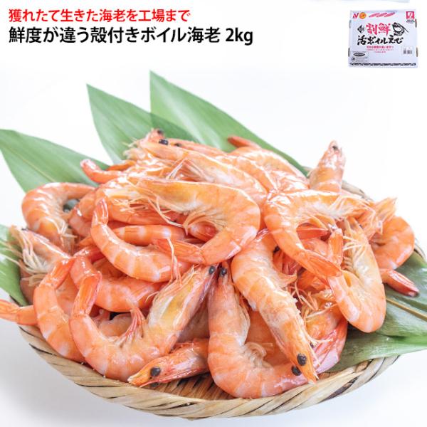 割鮮活ボイル海老 2kg Mサイズ 約80尾〜120尾入り バナメイ えび エビ ボイルエビ ニチレ...
