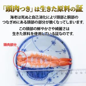 寿司海老 バナメイ 頭肉付 9LHサイズ 20...の詳細画像3