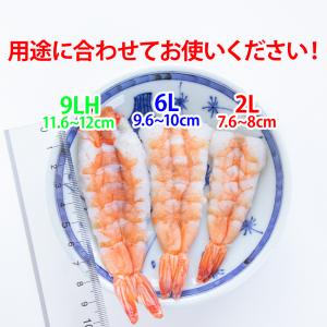 寿司海老 バナメイ 頭肉付 9LHサイズ 20...の詳細画像4