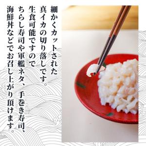 冷凍 訳あり 真イカ 切り落し 500g 生食...の詳細画像1
