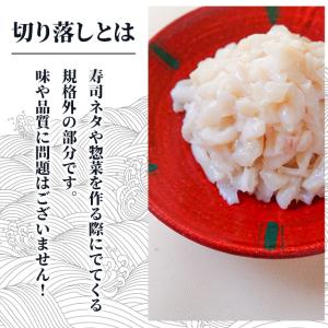 冷凍 訳あり 真イカ 切り落し 500g 生食...の詳細画像2