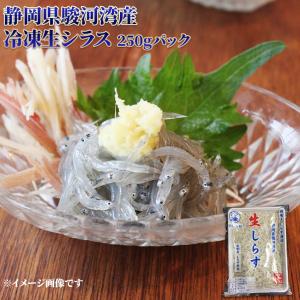 静岡県 駿河湾産 冷凍 生シラス 250gパック...の商品画像