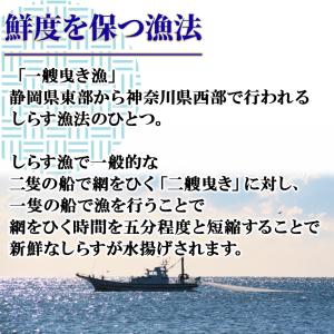 静岡県 駿河湾産 冷凍 生シラス 250gパッ...の詳細画像1