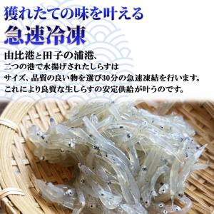 静岡県 駿河湾産 冷凍 生シラス 250gパッ...の詳細画像2