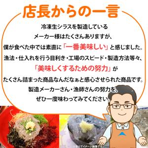 静岡県 駿河湾産 冷凍 生シラス 250gパッ...の詳細画像3
