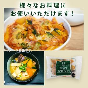 冷凍 乱切りかぼちゃ 500g カット済 徳用...の詳細画像2